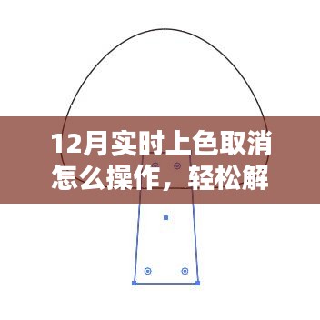 12月实时上色取消操作指南，轻松掌握取消流程