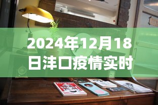 沣口疫情实时动态与角落特色小店探寻，2024年12月18日最新资讯