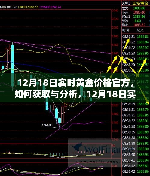 12月18日实时黄金价格官方信息获取与分析，初学者与进阶用户指南