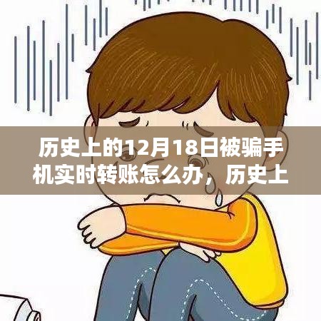 历史上的12月18日，手机实时转账被骗应对策略探讨