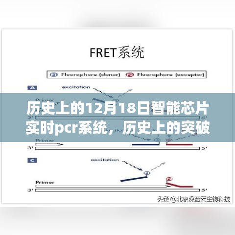 智能芯片实时PCR系统，历史突破与深度评测介绍