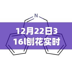 12月22日316L刨花实时价格深度解析，刨花新纪元全面介绍与评测