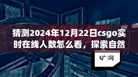 探索CSGO实时在线人数预测与自然美景之旅，冬至之日的期待与内心宁静的追寻