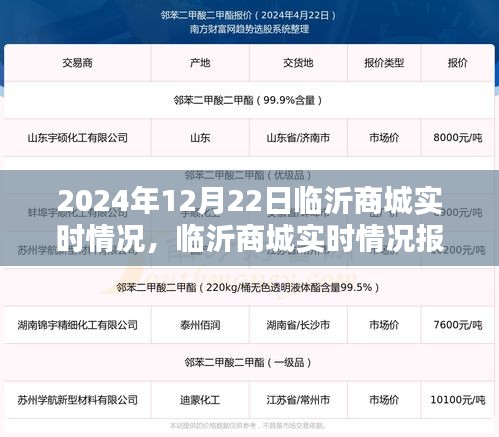 聚焦临沂商城实时动态，2024年12月22日的商贸繁荣盛况