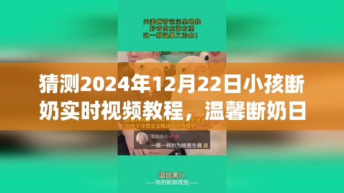 2024年圣诞前夕的温馨断奶纪实，亲子情深与实时视频教程