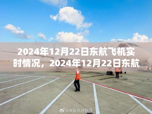 2024年12月22日东航飞机实时情况全面解析