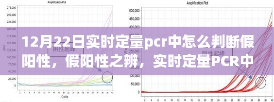 实时定量PCR中的假阳性辨识与精准判断艺术，假阳性之辨详解