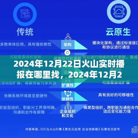 2024年12月22日火山实时播报动态及影响探寻