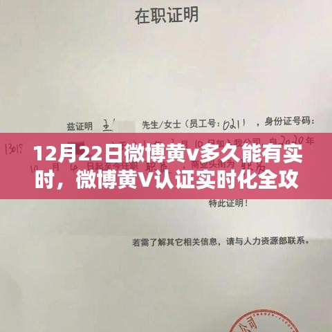 微博黄V认证实时化全攻略，最新流程解析与等待时间预测