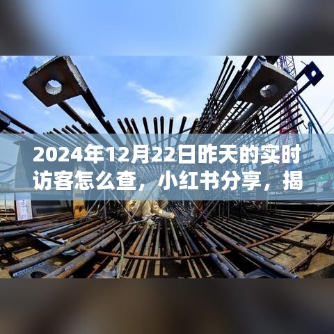 揭秘小红书实时访客查询技巧，如何查看2024年12月22日昨天的实时访客访问轨迹分享