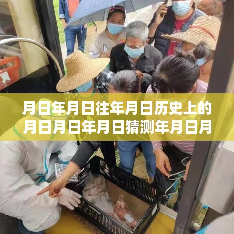 湛江智能公交系统重塑城市出行体验，实时追踪科技之旅