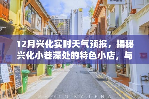 揭秘兴化小巷特色小店与实时天气预报的温暖角落