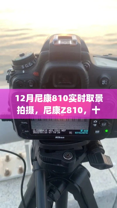 尼康Z810十二月实时取景拍摄秘籍，小红书上的摄影秘籍大公开！