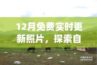 12月免费实时更新照片，自然美景探索之旅，寻找内心平静之旅