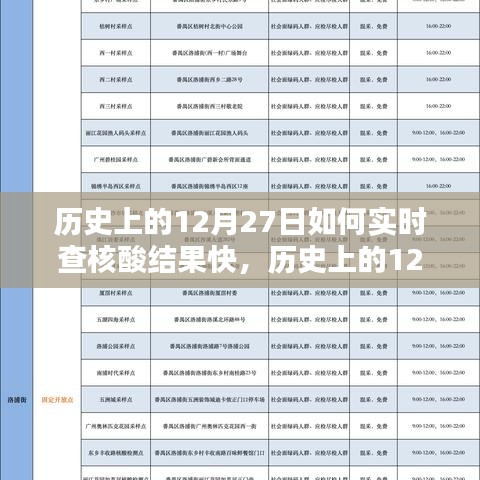 历史上的12月27日，核酸结果实时查询系统深度评测与快速查询技巧