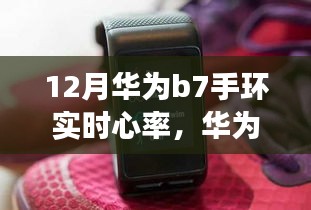 华为B7手环实时心率监测功能深度体验与解析，12月实时心率监测体验揭秘