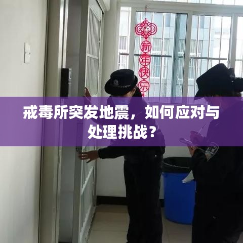 戒毒所突发地震，如何应对与处理挑战？