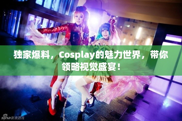 独家爆料，Cosplay的魅力世界，带你领略视觉盛宴！