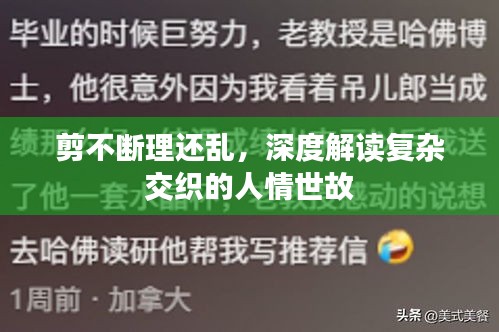 剪不断理还乱，深度解读复杂交织的人情世故