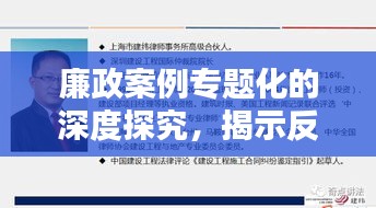 廉政案例专题化的深度探究，揭示反腐背后的真相与启示