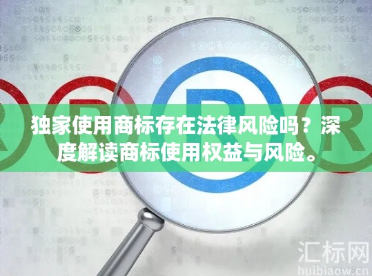 独家使用商标存在法律风险吗？深度解读商标使用权益与风险。