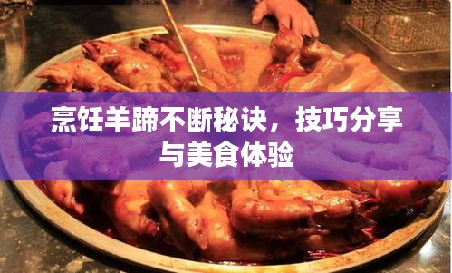 烹饪羊蹄不断秘诀，技巧分享与美食体验