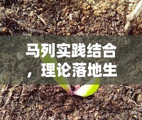 马列实践结合，理论落地生根的秘诀