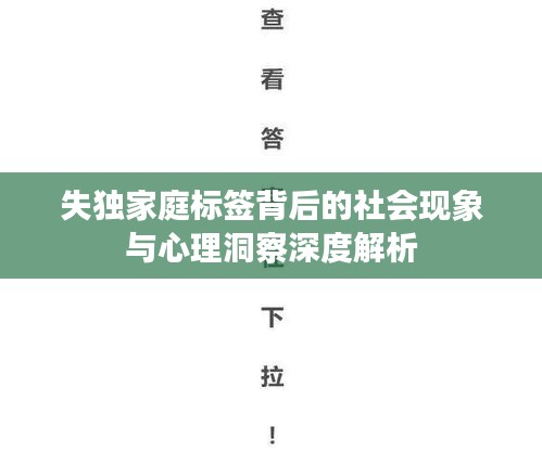 失独家庭标签背后的社会现象与心理洞察深度解析