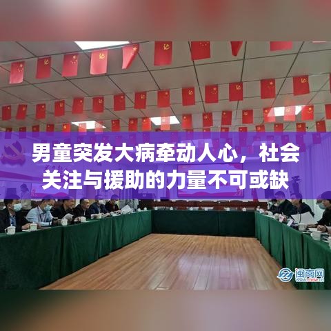 男童突发大病牵动人心，社会关注与援助的力量不可或缺