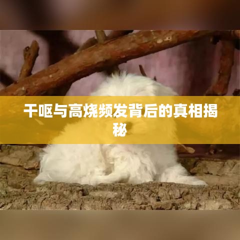 干呕与高烧频发背后的真相揭秘