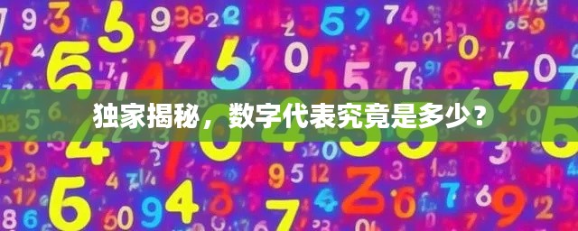 独家揭秘，数字代表究竟是多少？