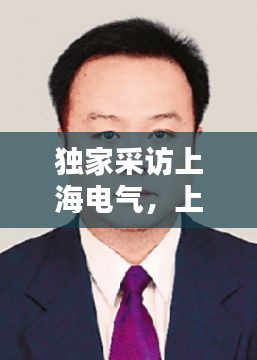 独家采访上海电气，上海电气原副总裁 