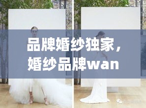 品牌婚纱独家，婚纱品牌wang 