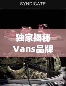 独家揭秘Vans品牌的独特魅力与风采探索