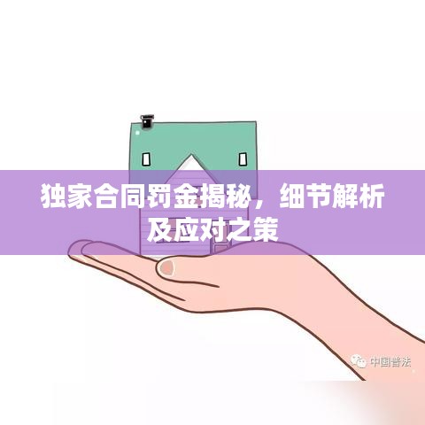 独家合同罚金揭秘，细节解析及应对之策