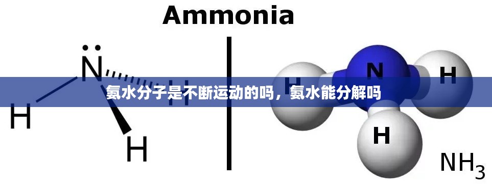 氨水分子是不断运动的吗，氨水能分解吗 