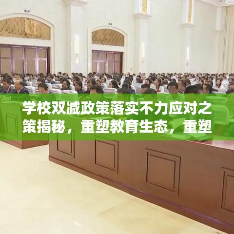 学校双减政策落实不力应对之策揭秘，重塑教育生态，重塑学生未来