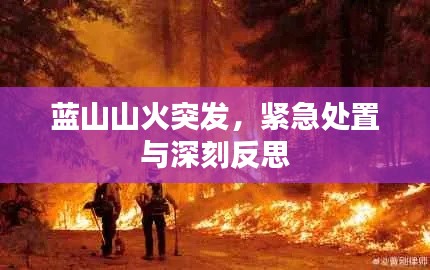 蓝山山火突发，紧急处置与深刻反思