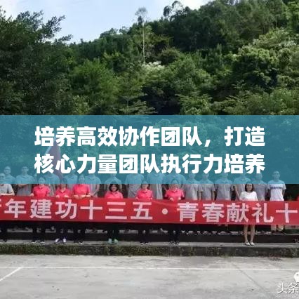 培养高效协作团队，打造核心力量团队执行力培养之道