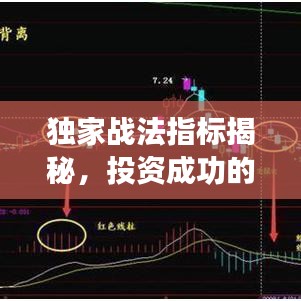 独家战法指标揭秘，投资成功的秘诀所在