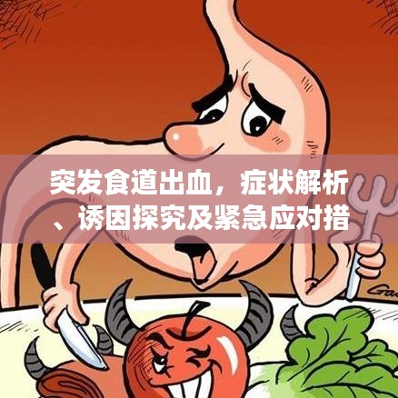 突发食道出血，症状解析、诱因探究及紧急应对措施