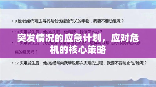 突发情况的应急计划，应对危机的核心策略