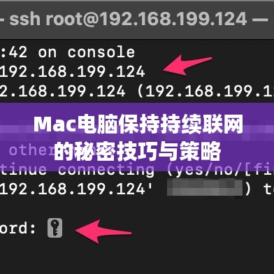 Mac电脑保持持续联网的秘密技巧与策略