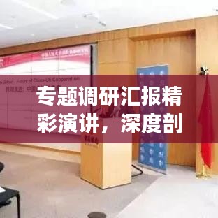 专题调研汇报精彩演讲，深度剖析、独到见解！