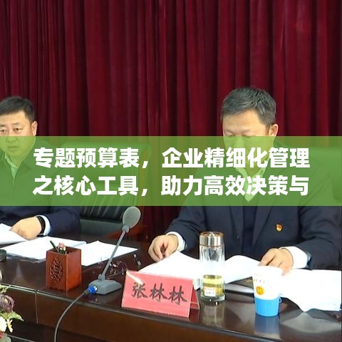 专题预算表，企业精细化管理之核心工具，助力高效决策与资源分配！