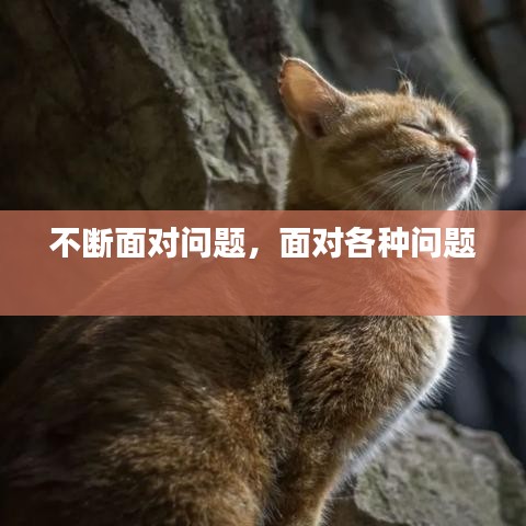 悬驼就石