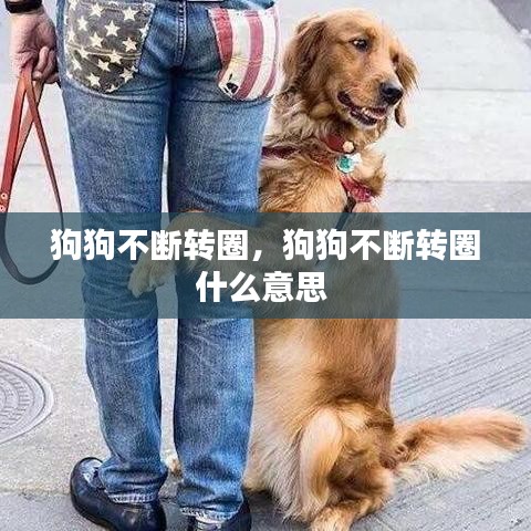 狗狗不断转圈，狗狗不断转圈什么意思 