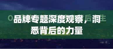 品牌专题深度观察，洞悉背后的力量