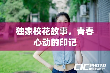 考级报名 第28页