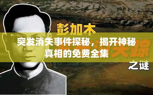 突发消失事件探秘，揭开神秘真相的免费全集